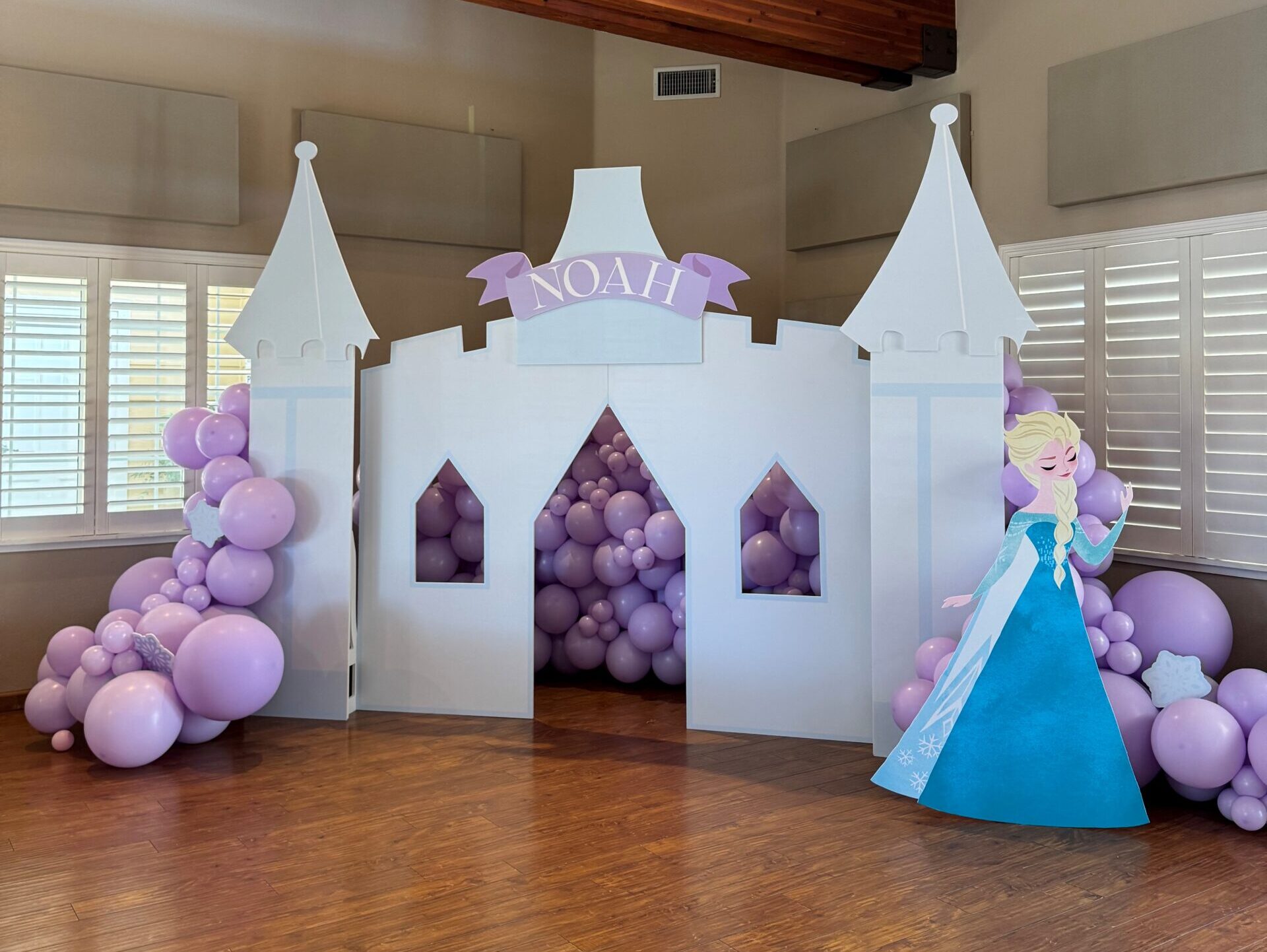Party Props and Backdrops